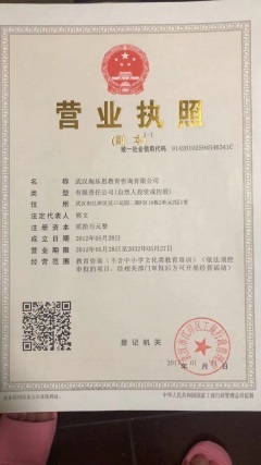 武漢淘樂思教育咨詢公司 深耕教育咨詢，賦能學習未來